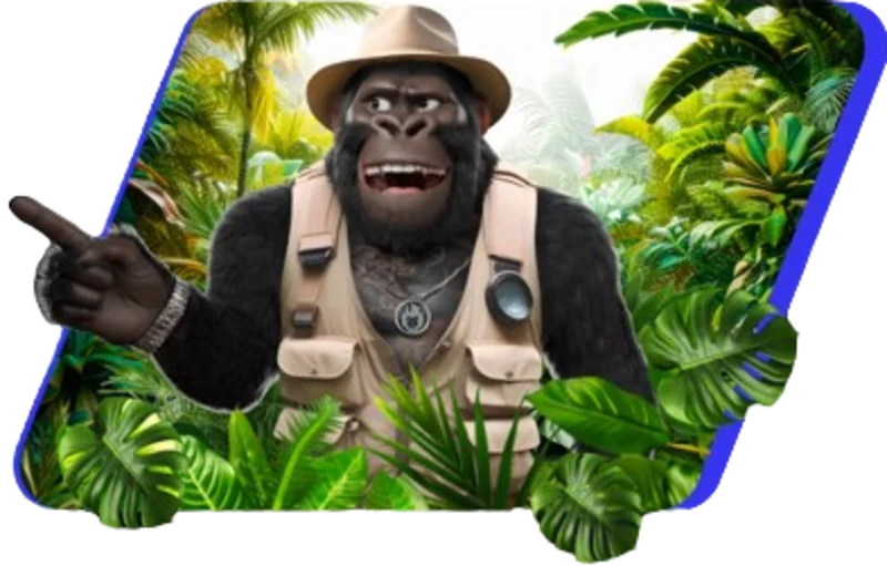 Авторизація через номер рахунку в Gorilla Casino